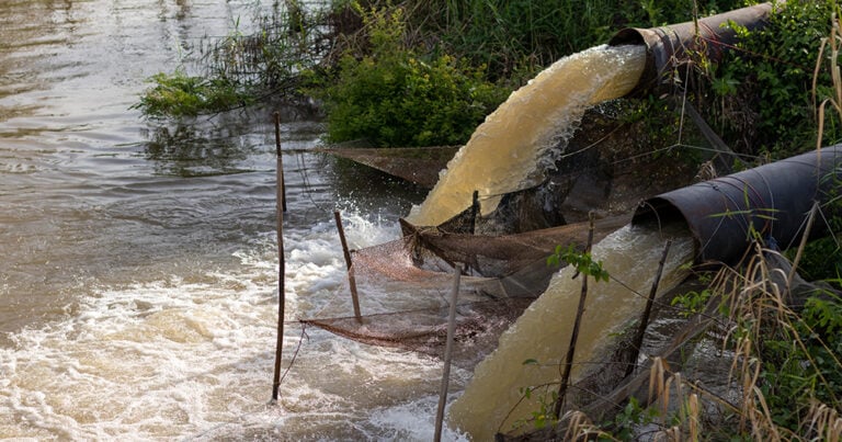 Water Pollution Effects Examples 7 Effects Of Water Pollution | Atlas Scientific