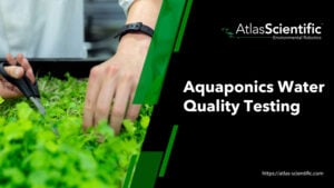 Aquaponics Success Through Water Quality Testing aquaponics-water-testing