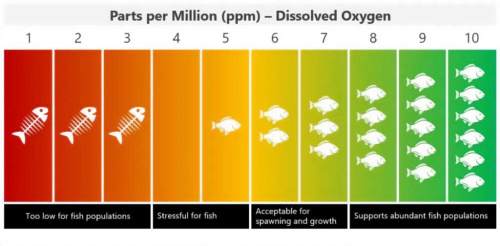 Do In Water What Are The Impacts Of Dissolved Oxygen In Ocean Water? | Atlas Scientific