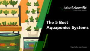 best-aquaponics-systems