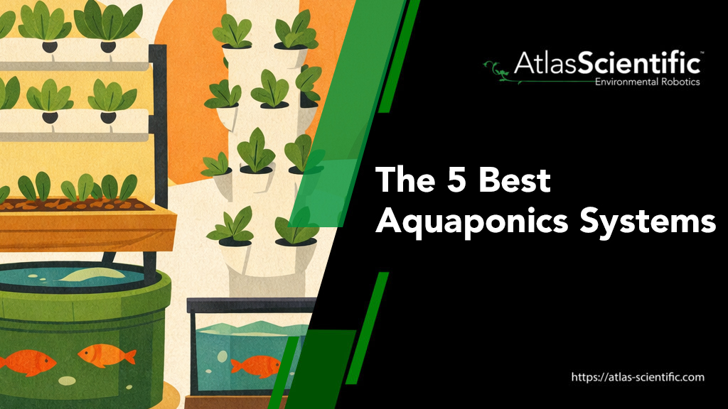 best-aquaponics-systems