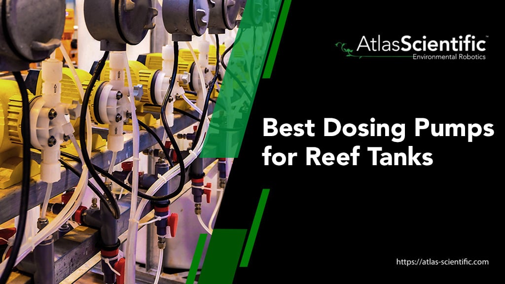 best-dosing-pumps-for-reef-tanks