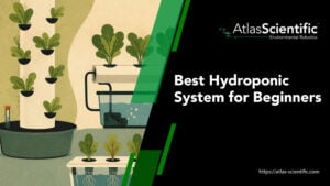 best-hydroponic-system-for-beginners