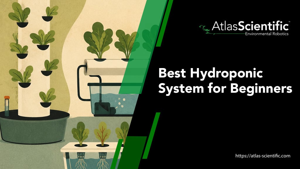 best-hydroponic-system-for-beginners