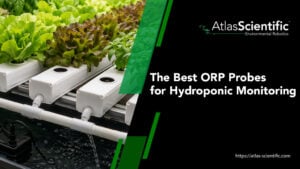 best-orp-probes-for-hydroponic-monitoring