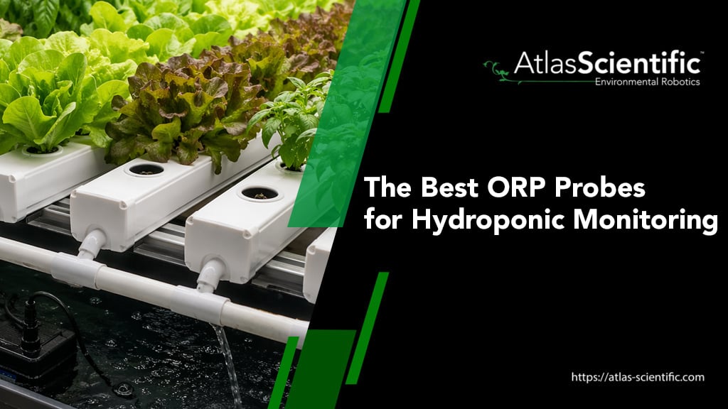 best-orp-probes-for-hydroponic-monitoring