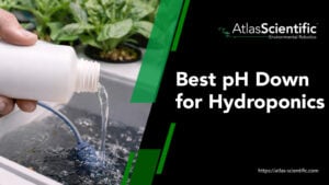 best-ph-down-for-hydroponics