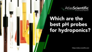 best-ph-probe-for-hydroponics