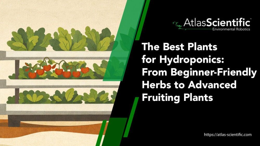 BEST HYDROPONICS NUTRIENT SOLUTION FOR LETTUCE visual data 4