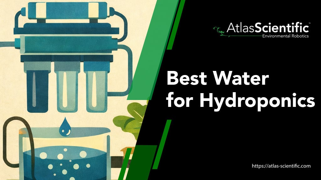best-water-for-hydroponics