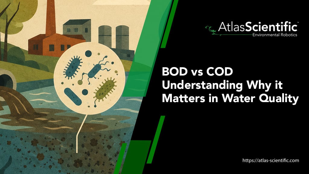 bod-vs-cod