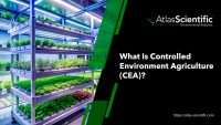 What Is Controlled Environment Agriculture (CEA)? | Atlas Scientific