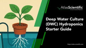 deep-water-culture-hydroponics
