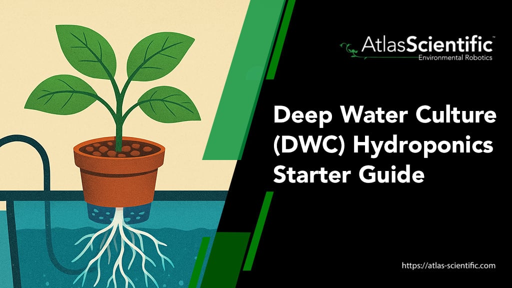 deep-water-culture-hydroponics