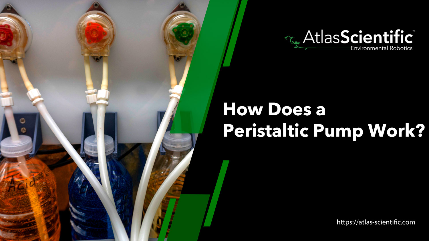 How Does a Peristaltic Pump Work? An Explanatory Guide Atlas Scientific