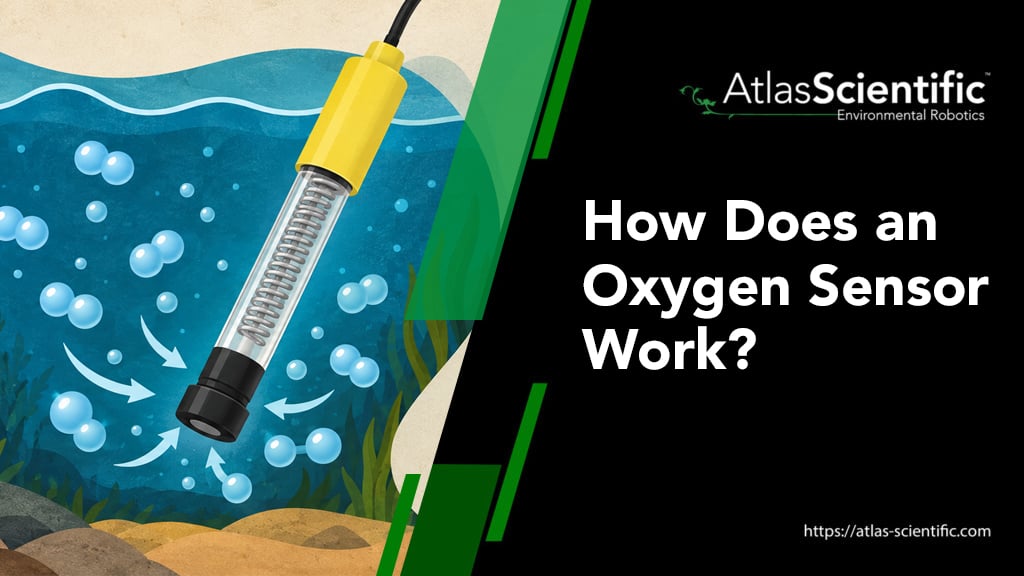 how-does-an-oxygen-sensor-work