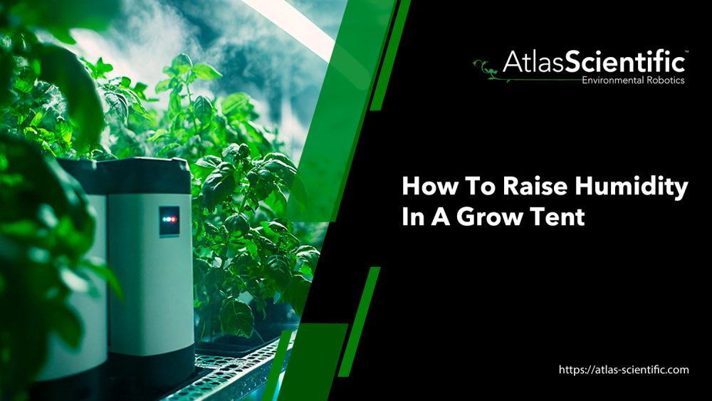 How to Raise Humidity in a Grow Tent | Atlas Scientific