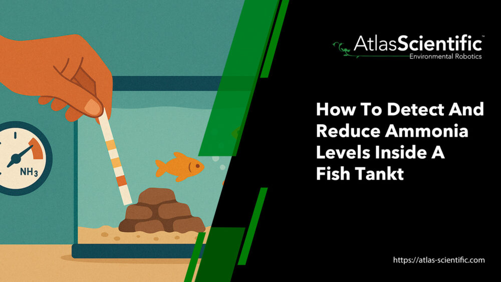Aquarium Chemicals Reduce Ammonia Safe Reference: How To Detect And Reduce Ammonia Levels Inside A Fish