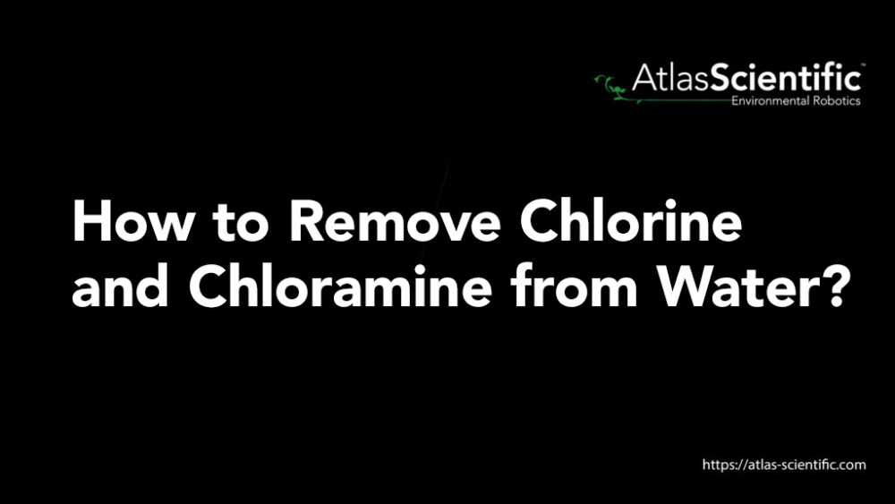 How to Remove Chlorine and Chloramine from Water | Atlas Scientific