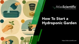 how-to-start-a-hydroponic-garden