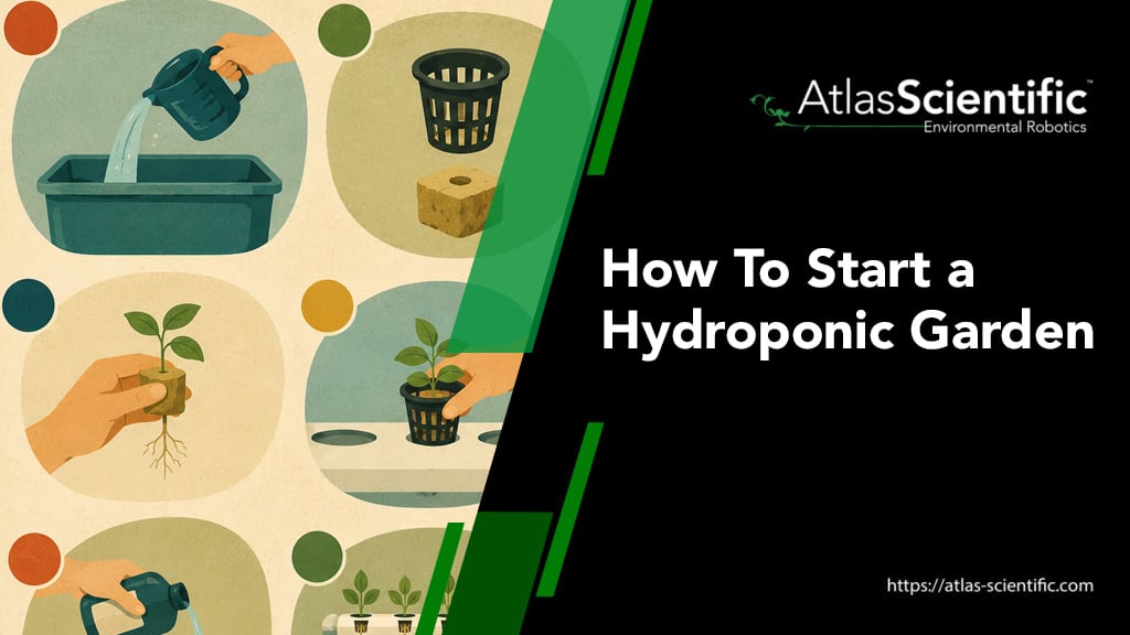 how-to-start-a-hydroponic-garden