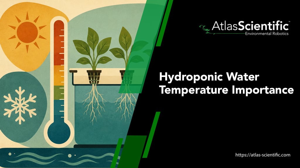 hydroponic-water-temperature