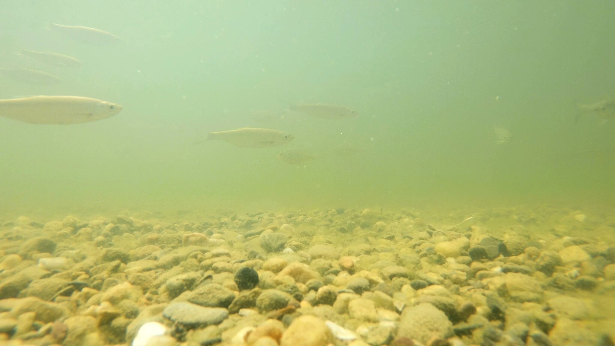 How Turbidity Is Measured Atlas Scientific