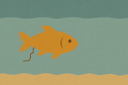 How To Detect And Reduce Ammonia Levels Inside A Fish Tank | Atlas ...