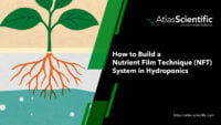 How to Build a Nutrient Film Technique (NFT) System in Hydroponics ...