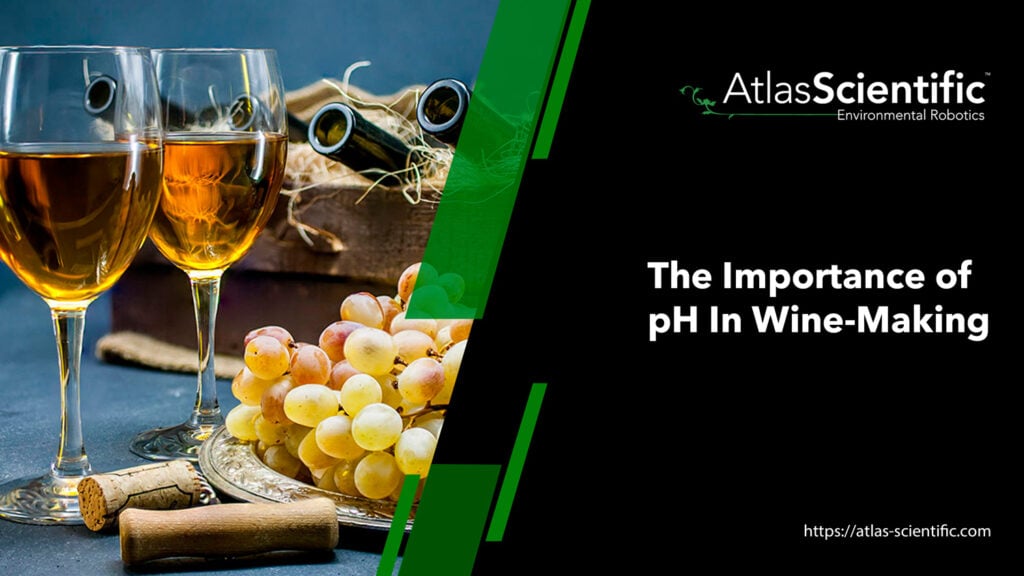 ph-wine-making