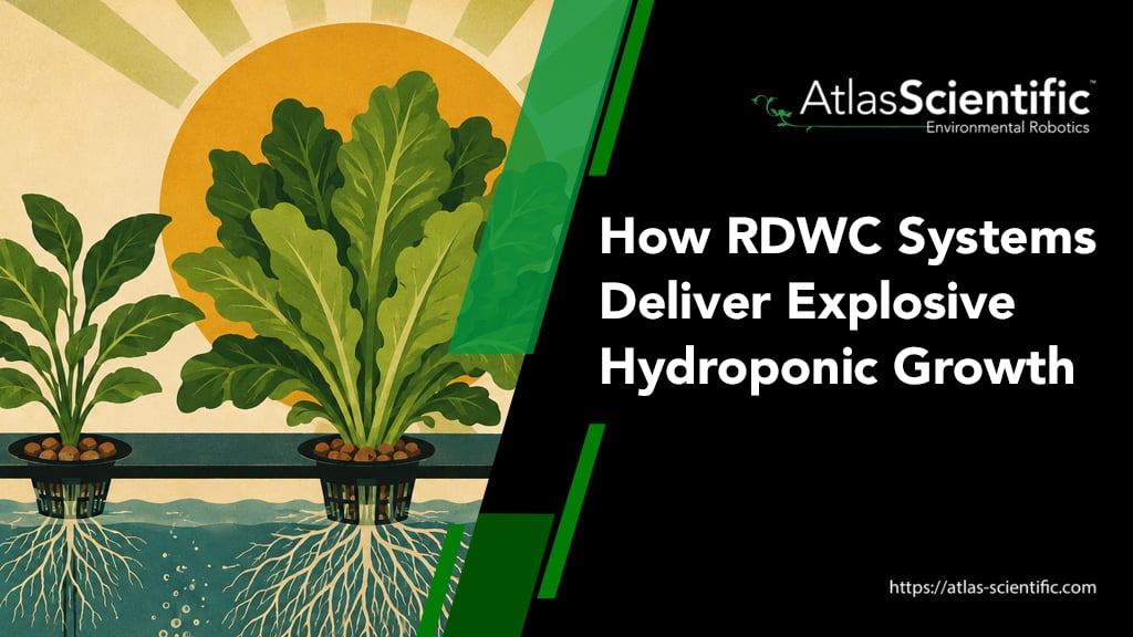 rdwc-systems