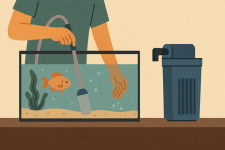 Picture of How To Detect And Reduce Ammonia Levels Inside A Fish Tank | Atlas ...