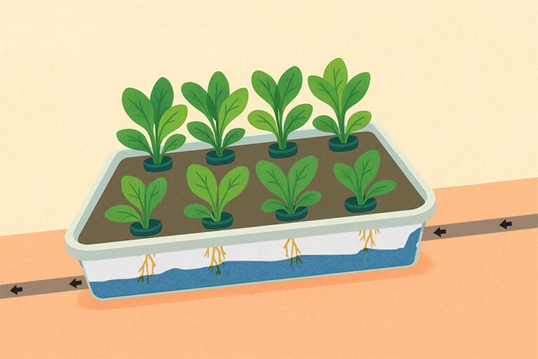 How to Build a Nutrient Film Technique (NFT) System in Hydroponics ...