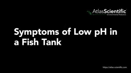 Symptoms Of Low pH In A Fish Tank | Atlas Scientific