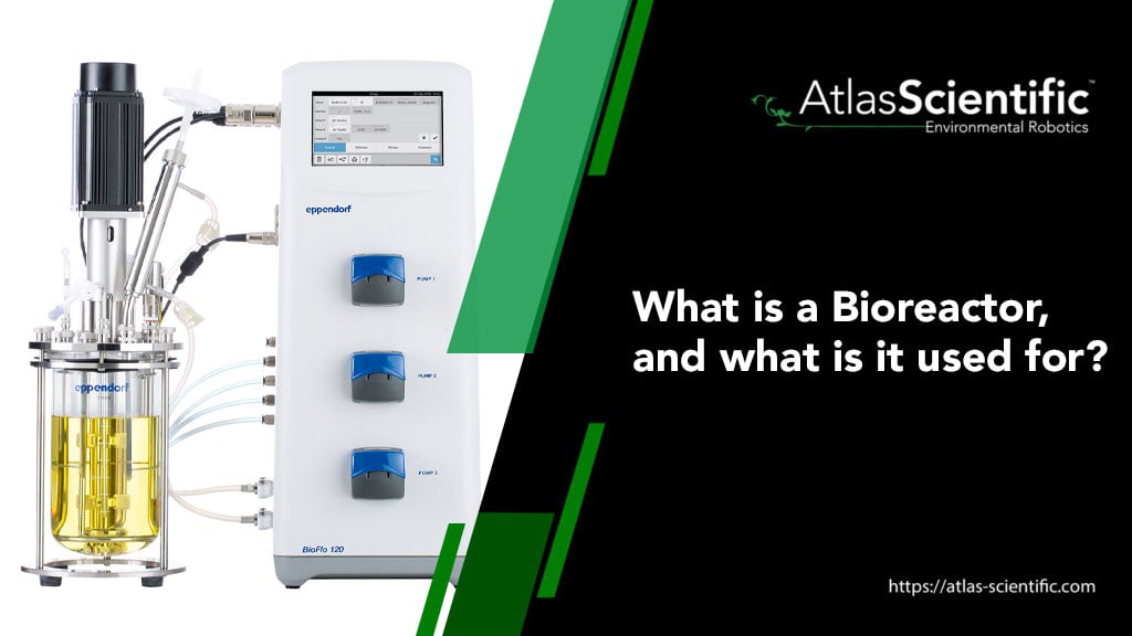 what-is-a-bioreactor