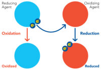 Understanding The Role Of ORP In A Reverse Osmosis (RO) Plant | Atlas ...